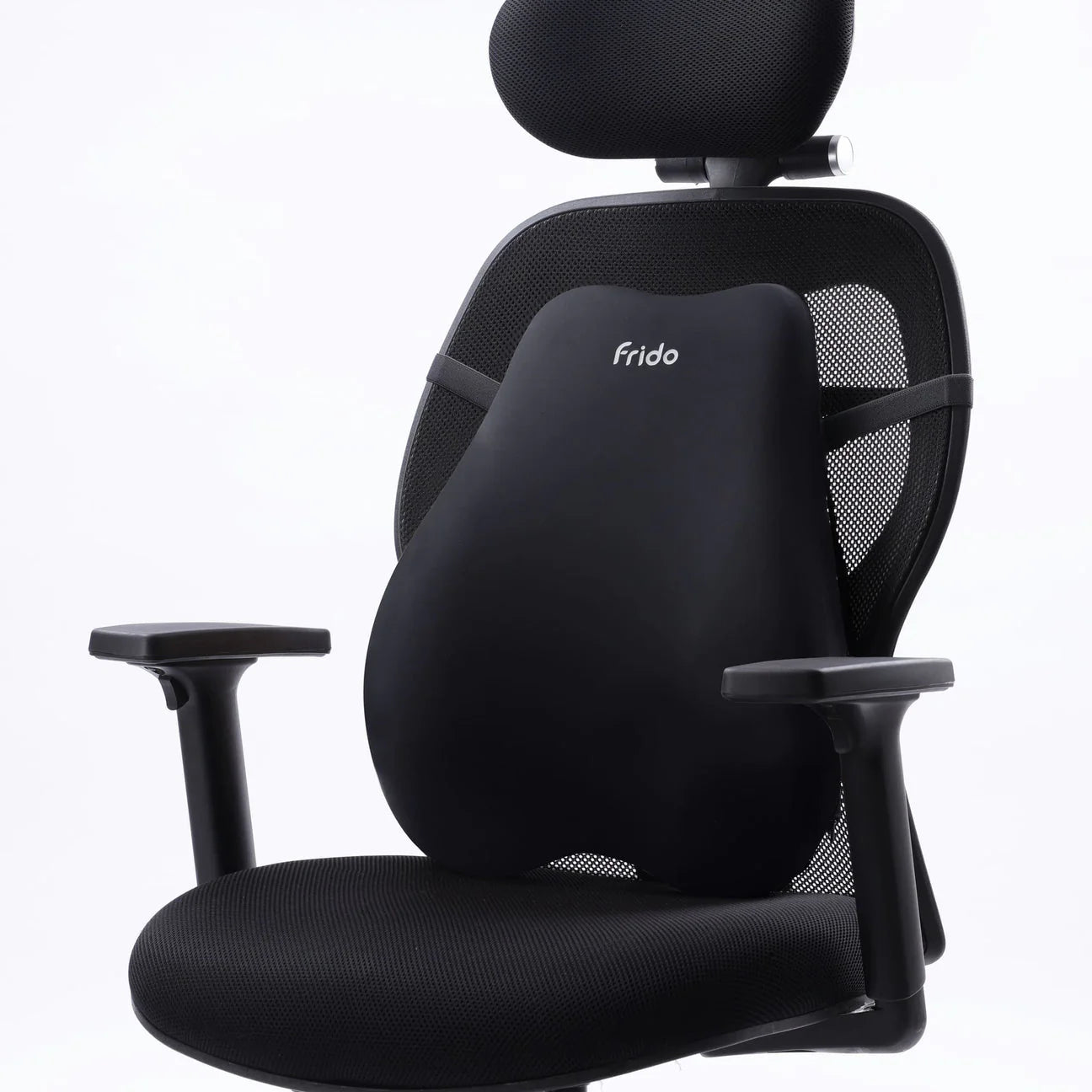 Frido Cloud Backrest Cushion