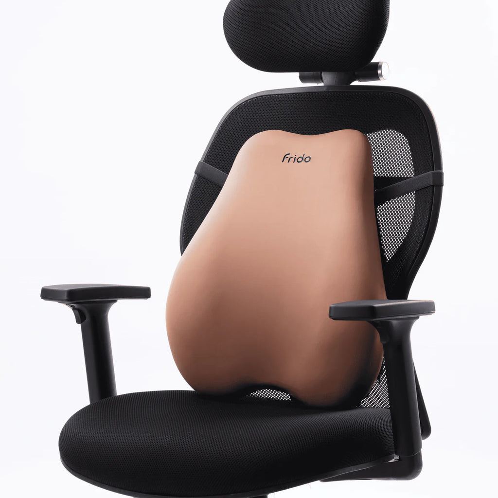 Frido Cloud Backrest Cushion