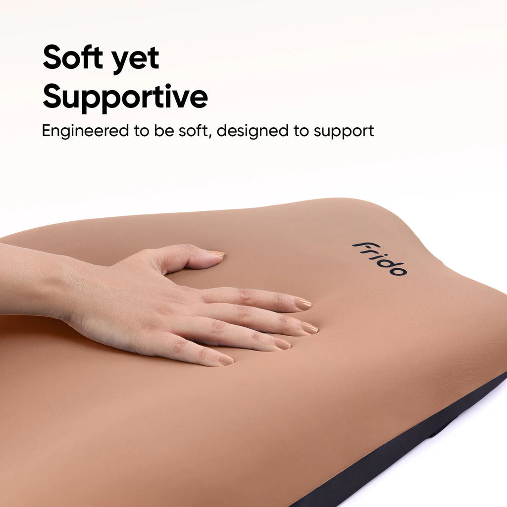 Frido Cloud Backrest Cushion