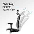 Frido AeroMesh Classic Ergo Chair - With Headrest