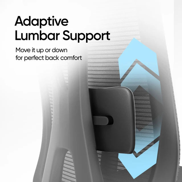 Frido AeroMesh Classic Ergo Chair - With Headrest