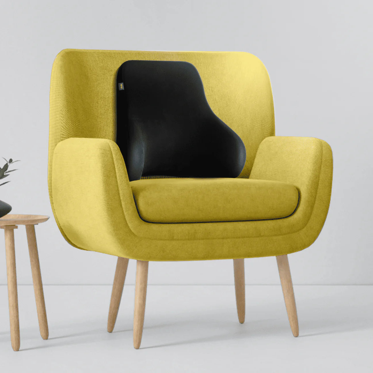 Frido Ultimate Sofa Backrest Cushion