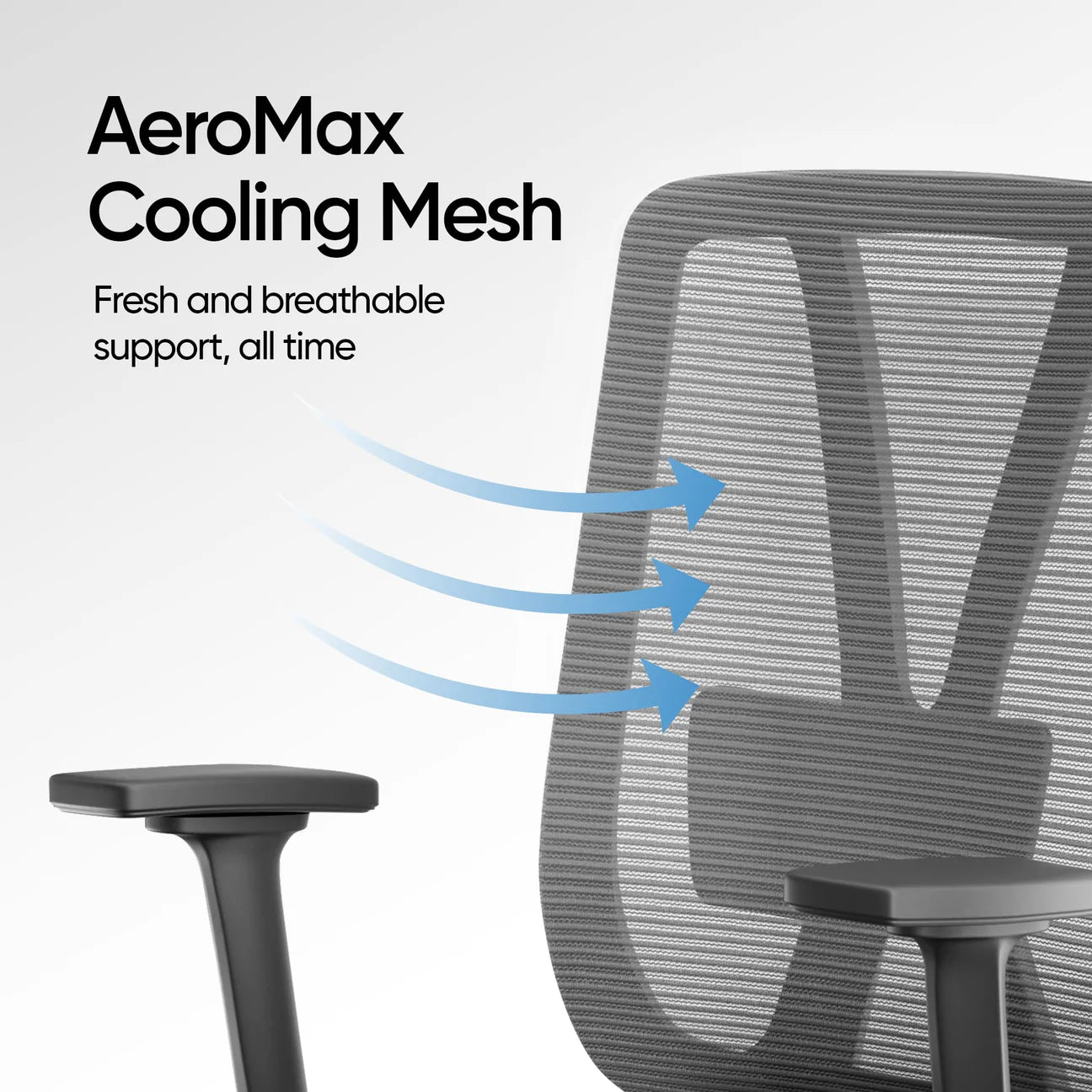 Frido AeroMesh Classic Ergo Chair - Without Headrest